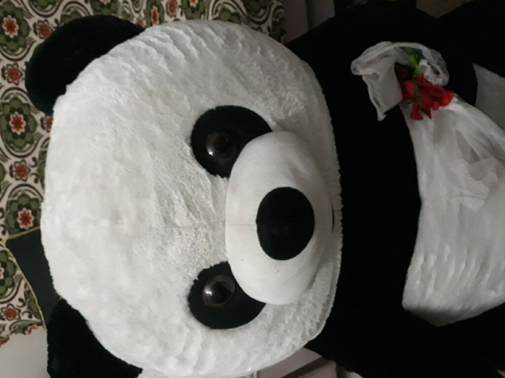 büyük panda ayı adres İstanbul Maltepe Fındıklı mahallesi - 2