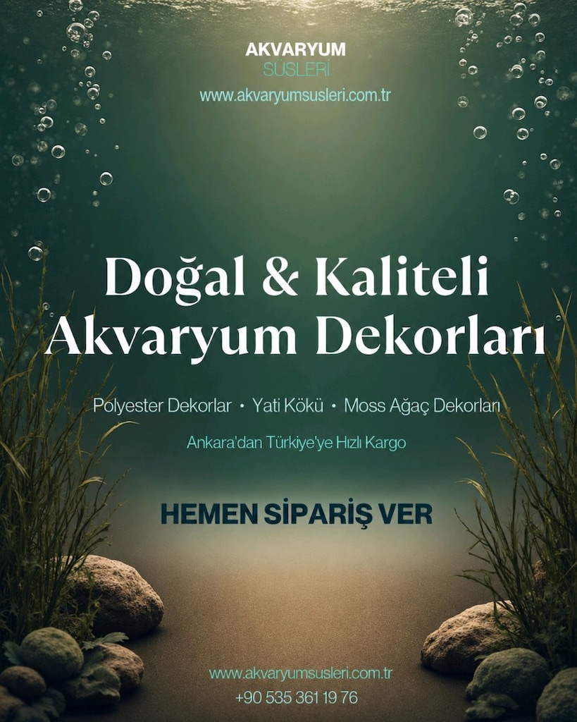 akvaryum kök dekor - 2