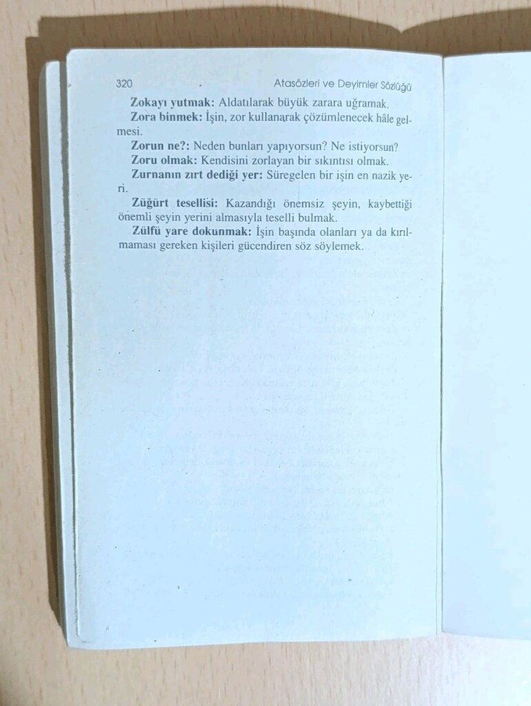 İNGİLİZCE/TÜRKÇE SÖZLÜĞÜ-İMLA KILAVUZU-ATASÖZLERİ VE DEYİMLER SÖZLÜĞÜ - 5