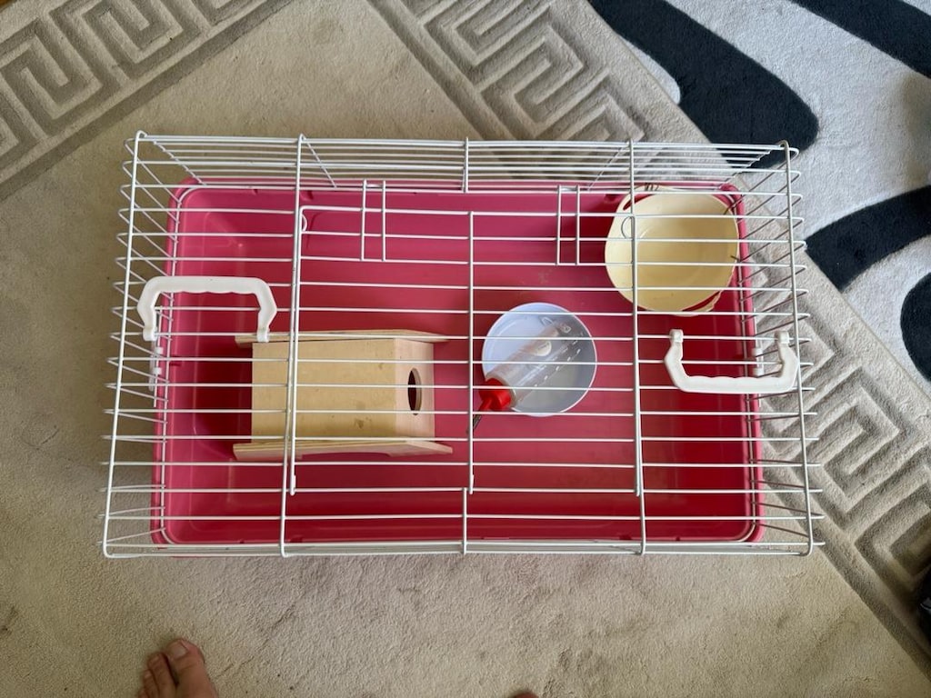 tavsan veya hamster kafesi. rabbit hutch/ hamster cage - 4