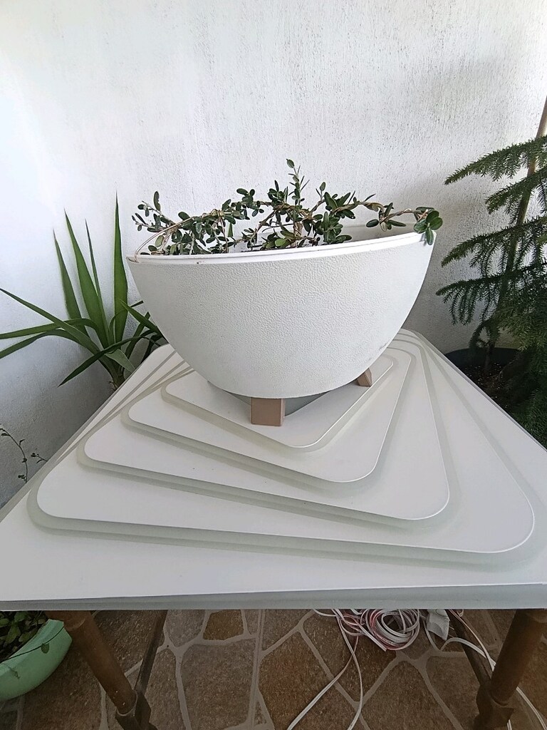 bonsai - 4