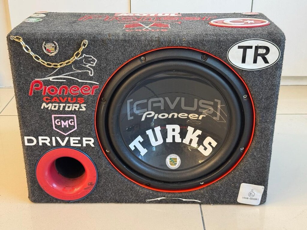 Pioneer TS-W310D4, 1400W ŞAMPİYON SERİ - 2