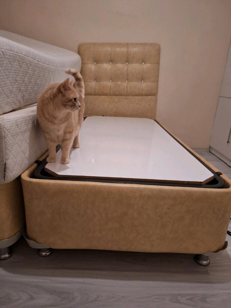 ikili 190x90 baza başlıklı set - 3