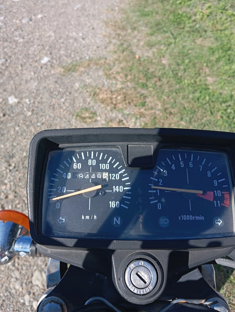 satılık Küba çita 100 - 4