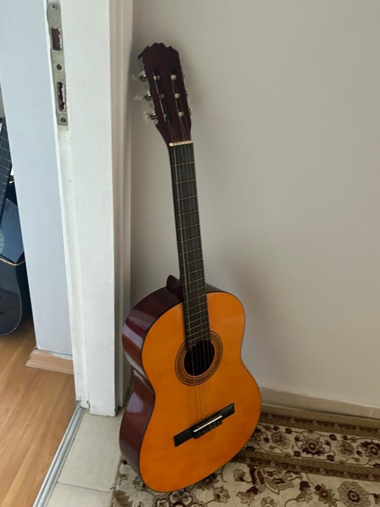 tertemiz klasik gitar - 4