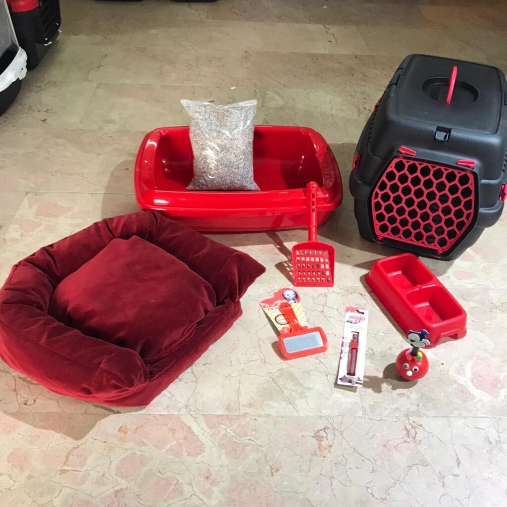 Kedi bakım seti