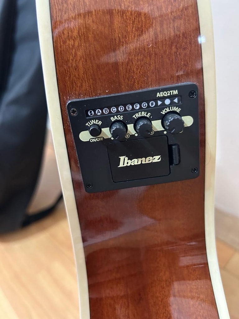İbanez Elektro Akustik Gitar - 2