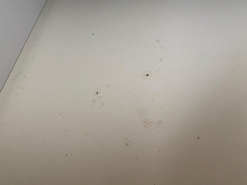 Yeşil Renk petek Kadife Sandıklı Çekyat - 12