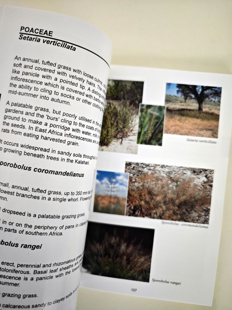 Kitap / Flowering Plants of the Kalahari Dunes - 8