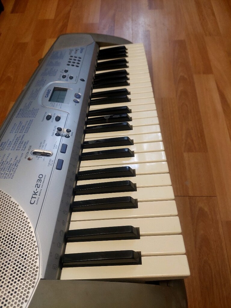 CASİO CTK 230 ORG - 2