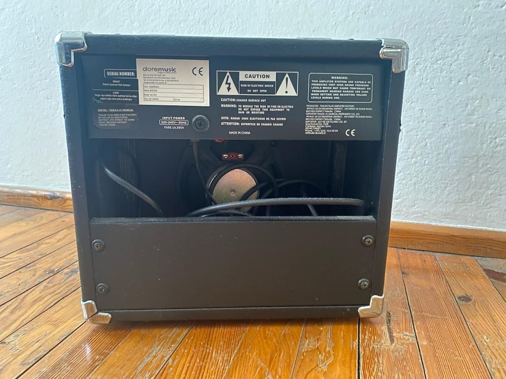 ELEKTRO GİTAR WASHBURN ÖZEL DESENLİ - 5