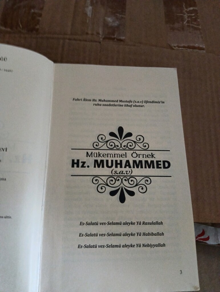 peygamber efendimiz ile ilgi kitap - 3