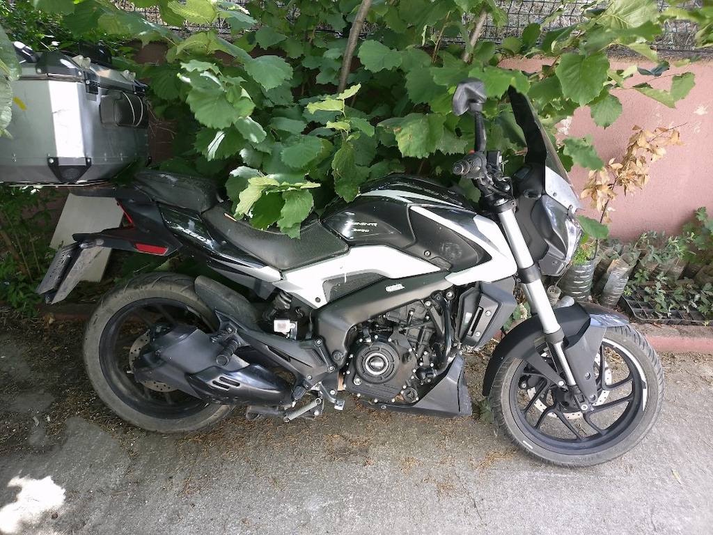 dominar 250 D - 5