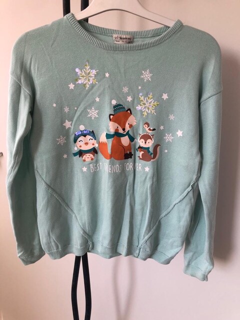 LCW sweatshirt 10-11 yaş Kız çocuk için. Kıyafet ilanlarımıza bakınız