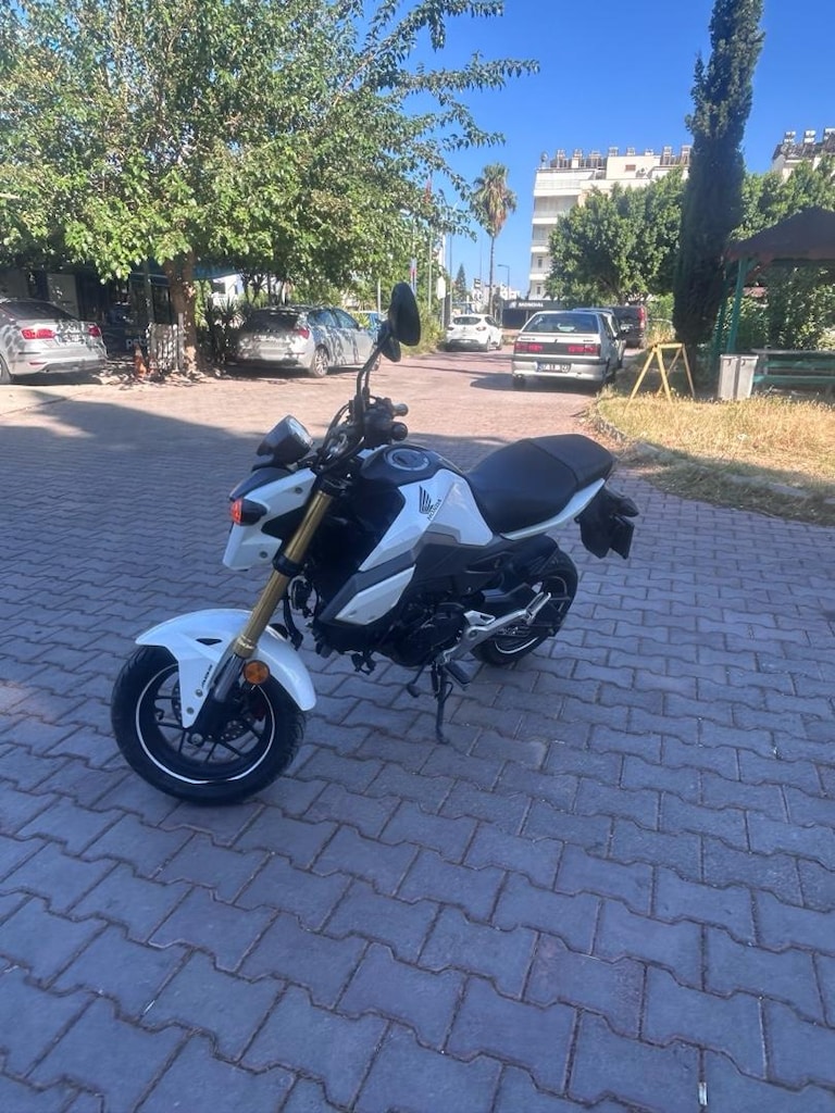Honda Msx125 - 5