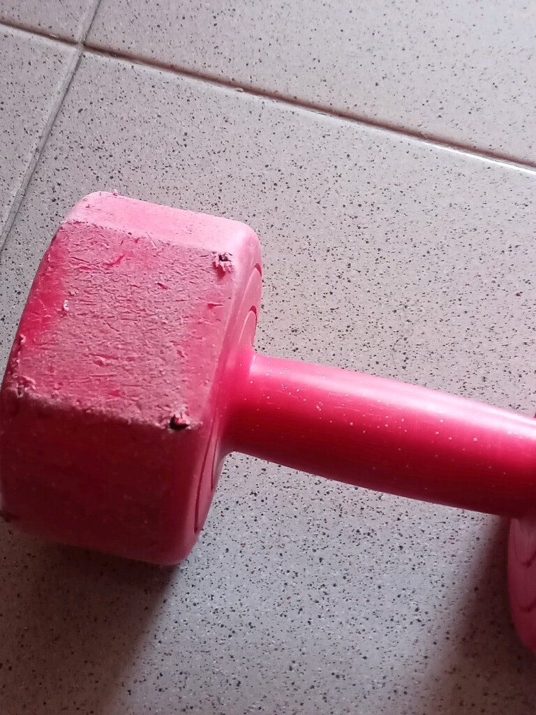 5 Kilogram Dambıl Fitness Vücut Geliştirme 5 Kg Ağırlık Kaldırma - 2