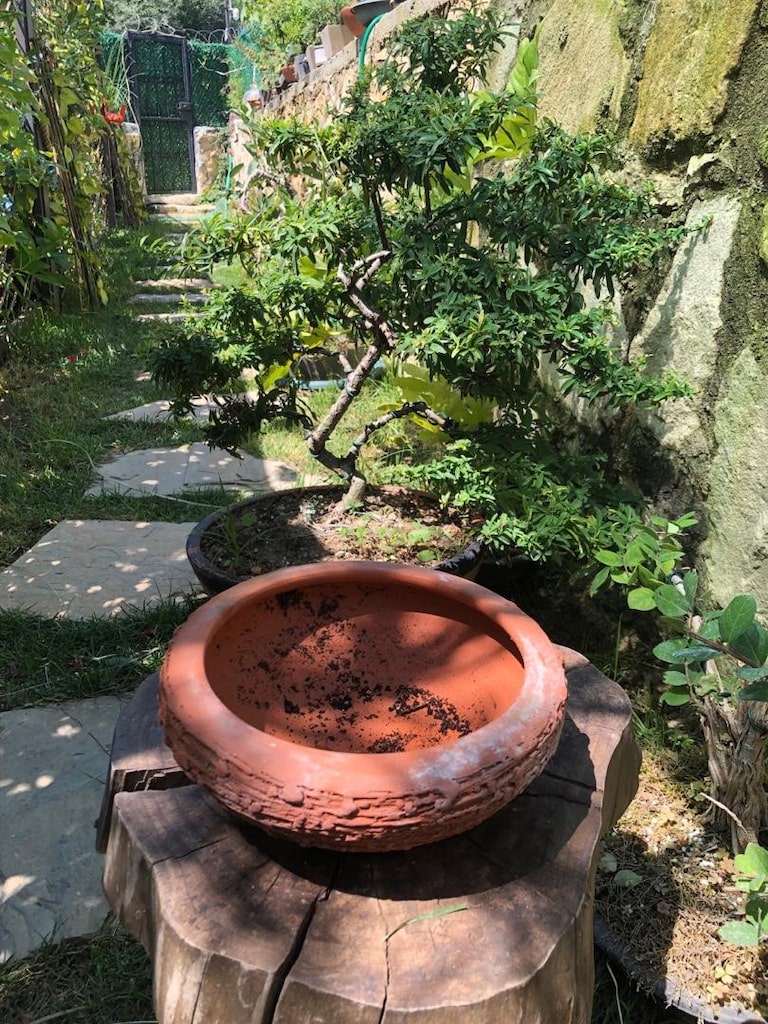 Doğal Dokulu Bonsai Saksısı-Çömlek Saksı - 10