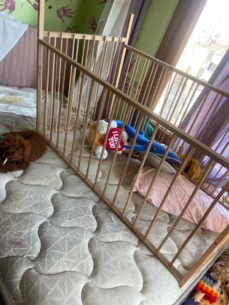 köpek çiti - 7