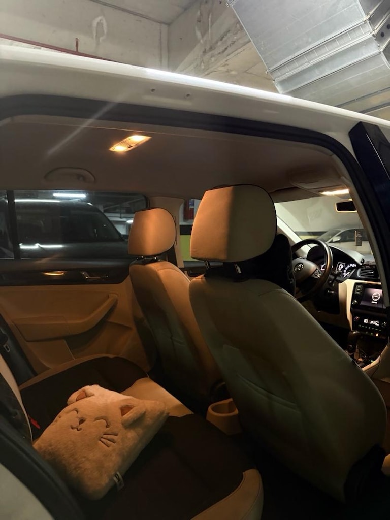 Boyasız Değişensiz Skoda Rapid - 6