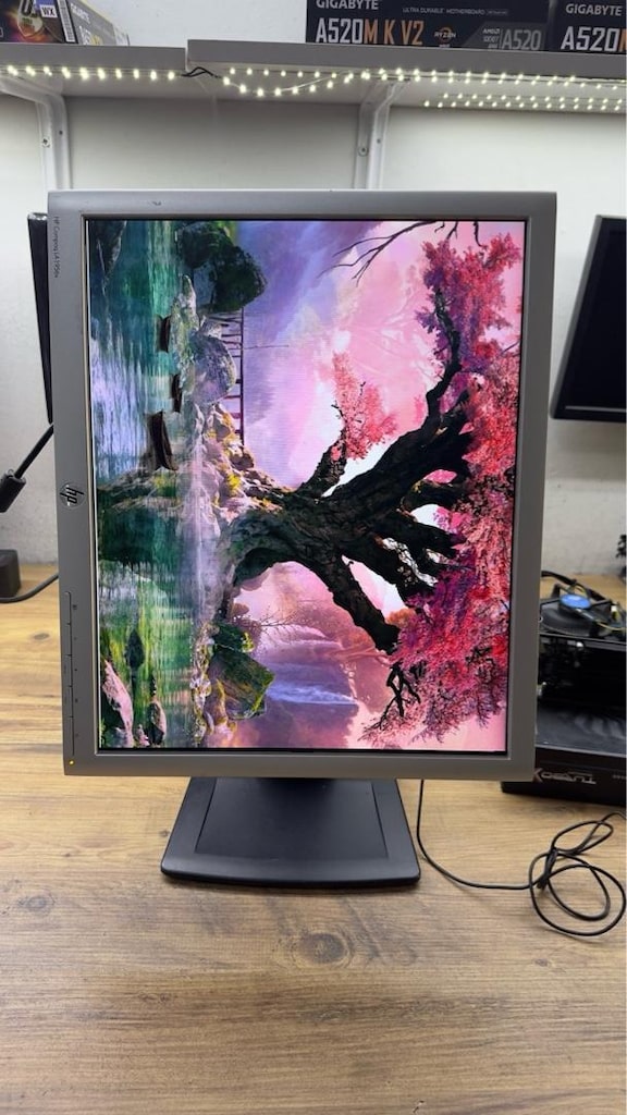 HP Compaq LA-1956x - Hp 19 inç Pivot Monitör - Ekran - - 2
