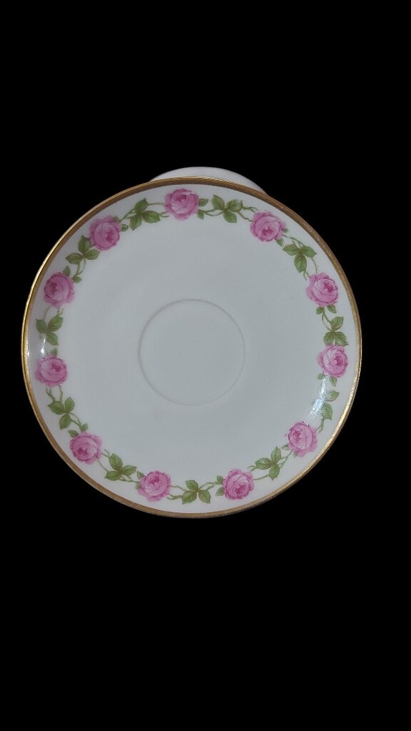 Rosenthal Yudumluk Fincan - 5