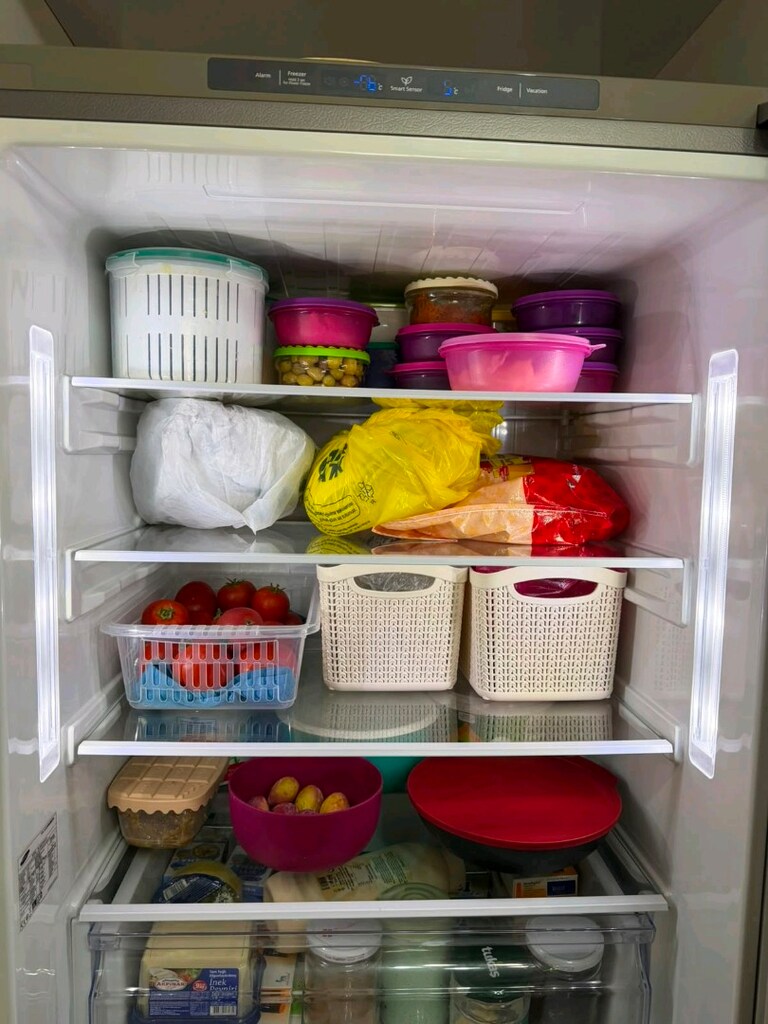 Samsung RL4003RRASP - 8
