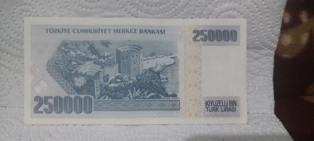 İKİYÜZELLİ BİN TÜRK LİRASI. - 8