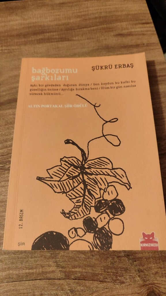 İlk basım antika kitaplar şiir - 8