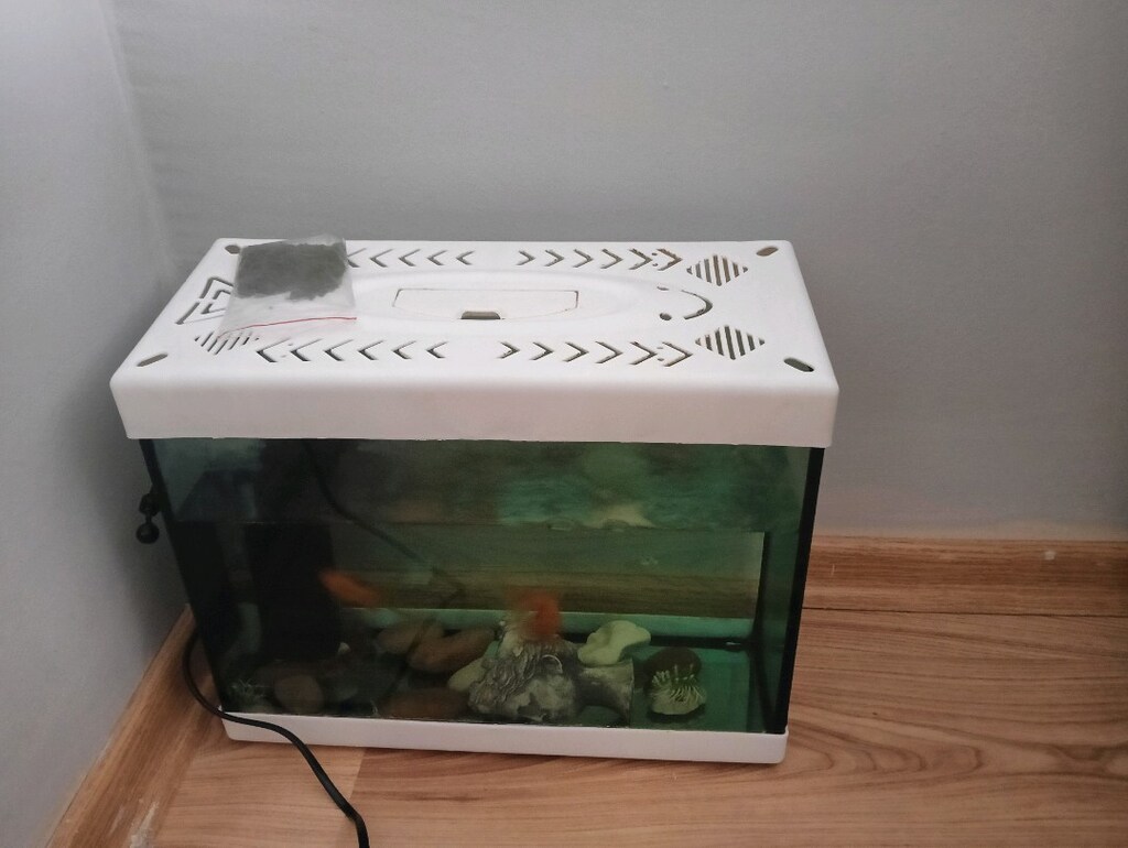 mini akvaryum - 2