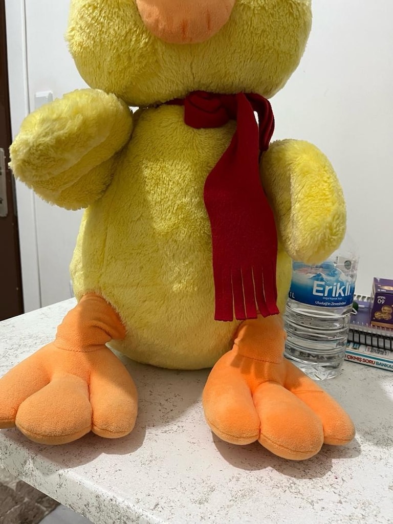 peluş ayıcık - 4