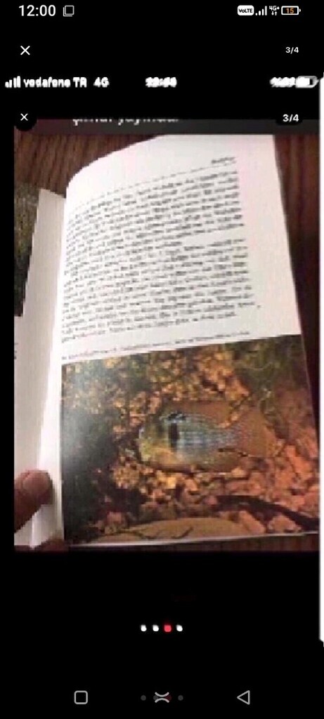 almanca baskı akvaryumda nasıl bakılır ve üretilir tüm bilgiler var - 3