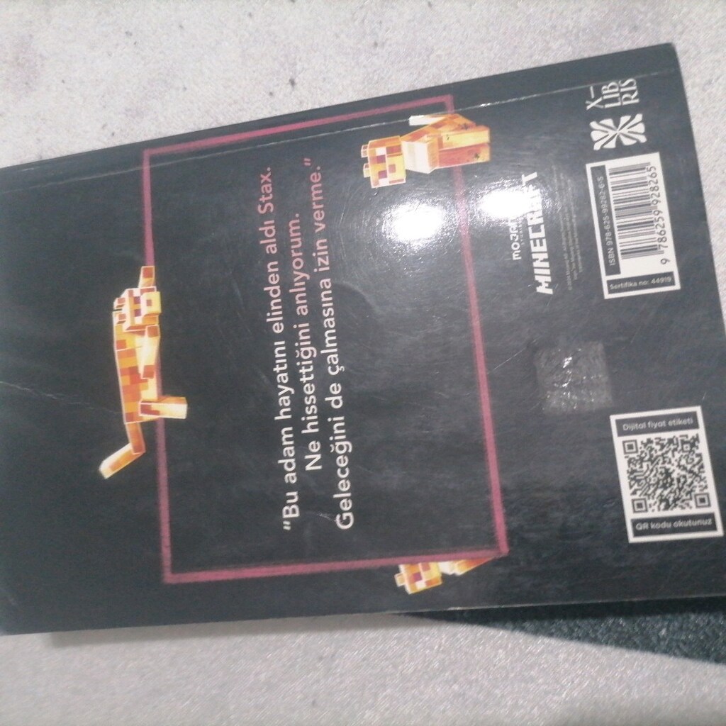 minecraft yolculuk kitap - 2