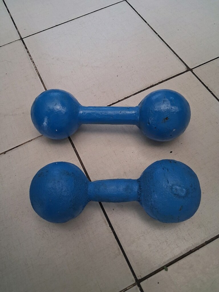 DAMBIL DEMİR 8+ 8=16 KİLO DÖKÜM DEMİR - 2