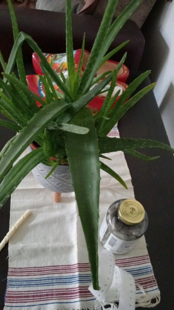 canlı çiçek - 3