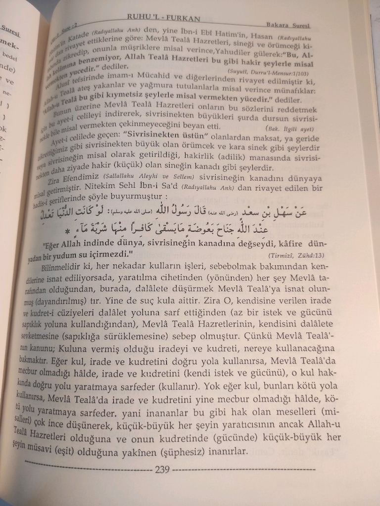 Ruhu'l Furkan Tefsiri 1. cilt Mahmud Ustaosmanoğlu - 7