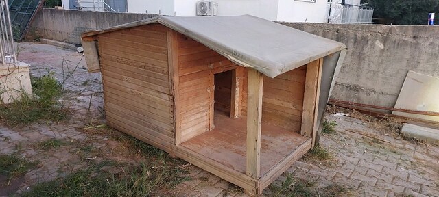 büyük ırk köpek kulubesi