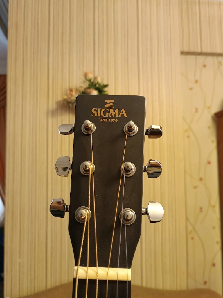 Sigma Elektro Akustik Gitar - 3