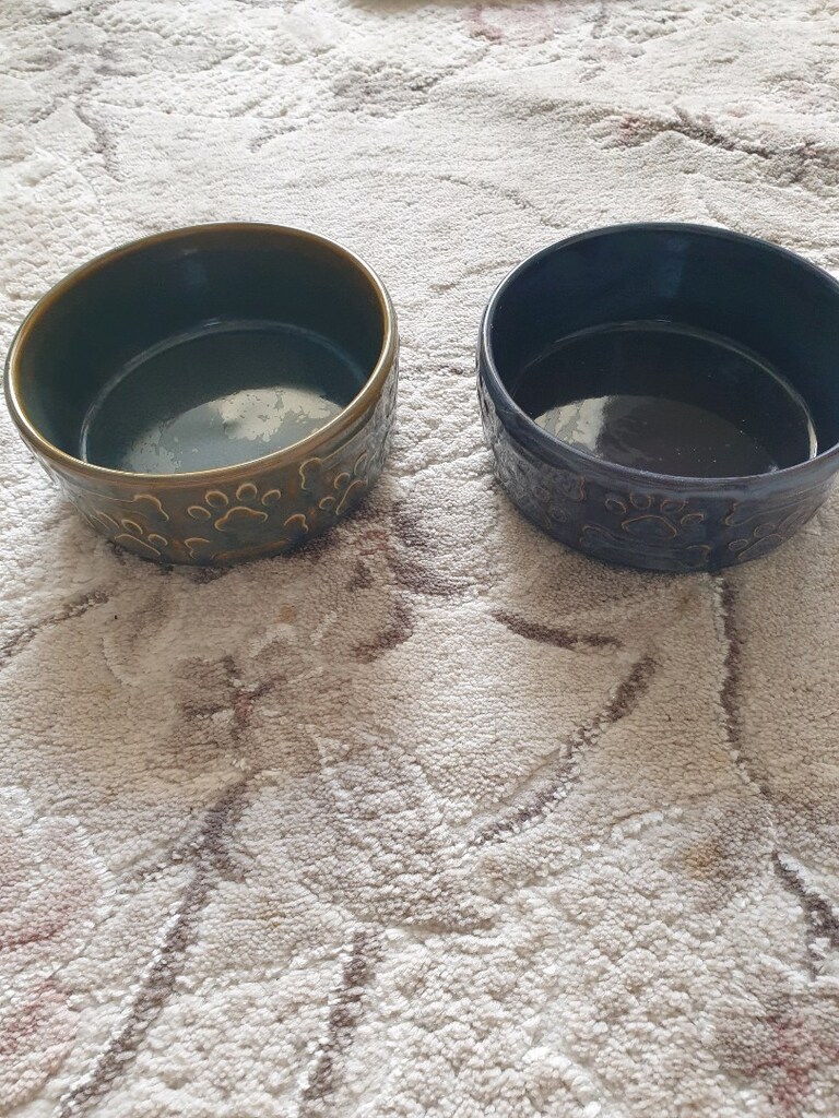 KEDİ MAMA KABI 2 ADET - 8