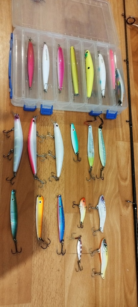 Spin Seti: Daiwa Legalis Seabass 14-56g 2.70 / Daiwa Legalis LT 4000-C - 4
