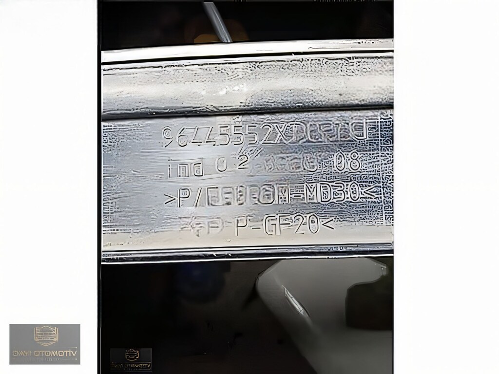 PEJO 407 SOL ARKA KAPI ÇITASI - 2