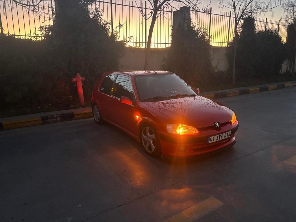 fındık faresi - 9