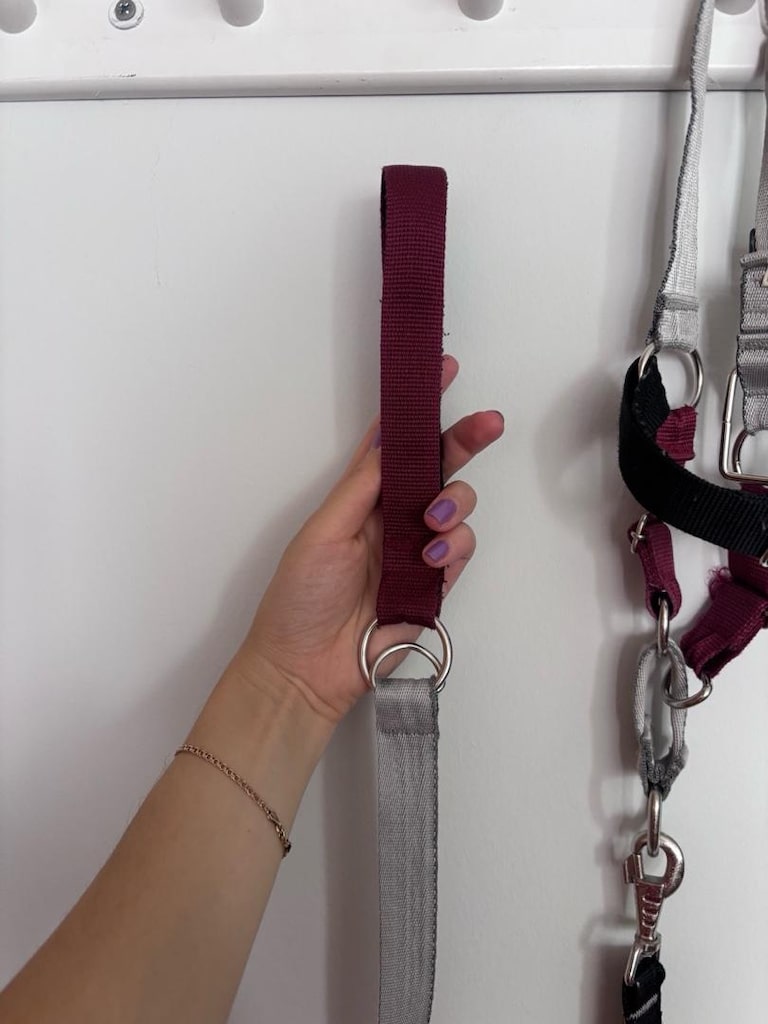 Jimi Pet Çekiştirme Önleyici Köpek Tasma Seti - 4