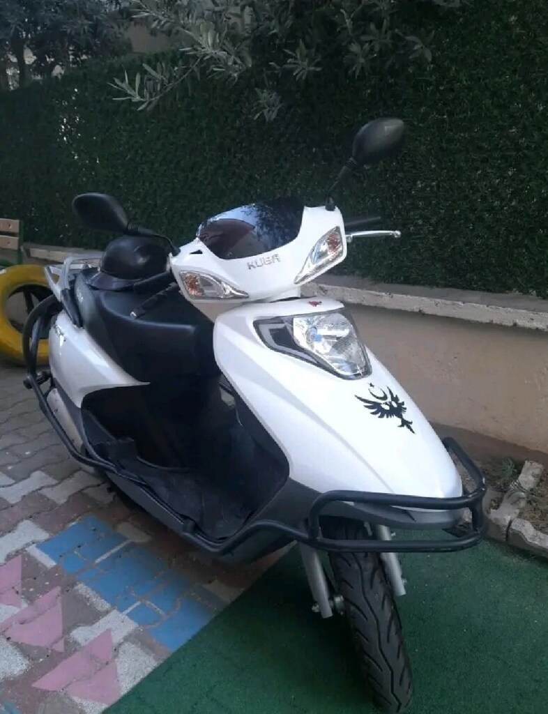 BEYAZ GÜL - 6