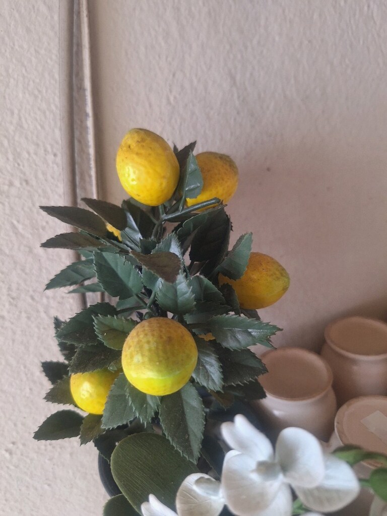 limon yapay ağacı - 4