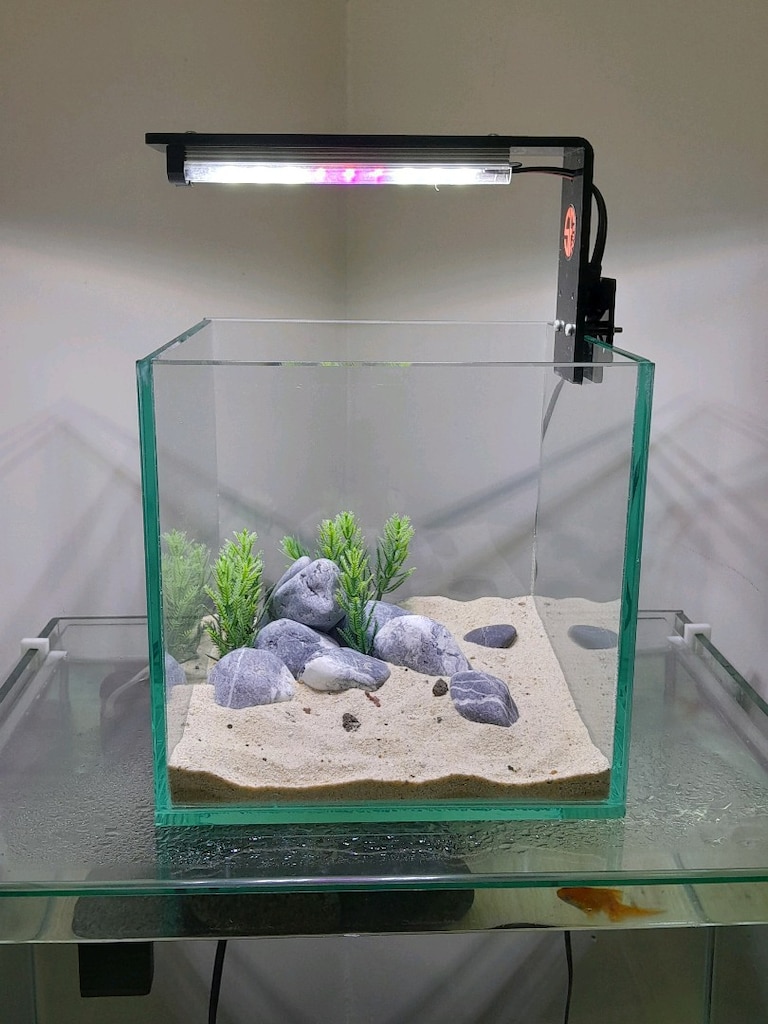 nano akvaryum mini 20x20x20 clear - 15