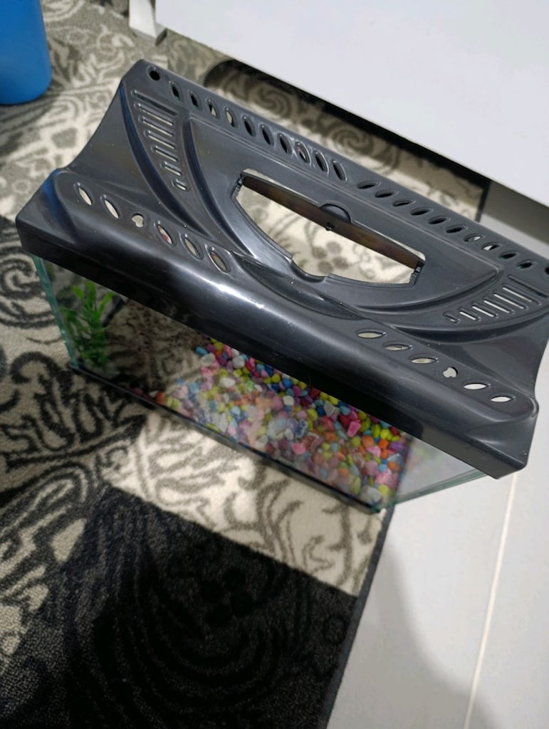 Cam balık akvaryum - 3