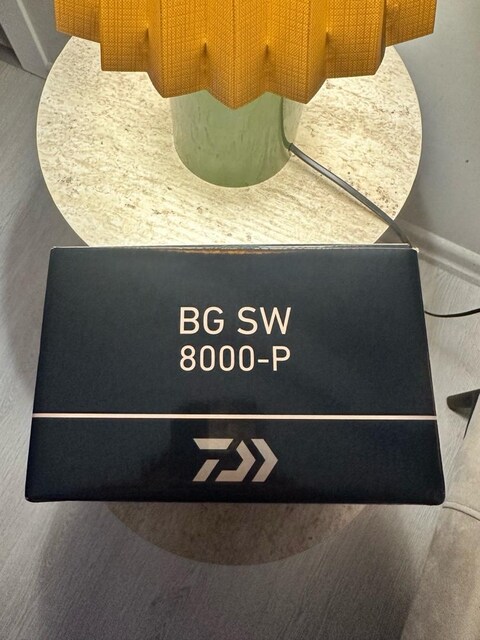 DAİWA BG SW 8000 - p