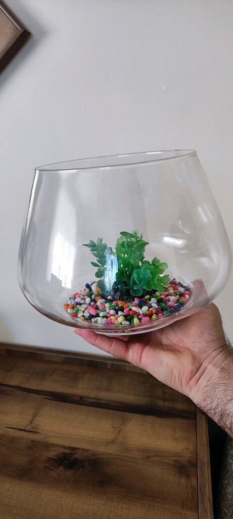 Cam Fanus (Büyük Boy) - 6