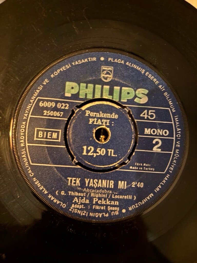 ajda pekkan 33lükleri - 7