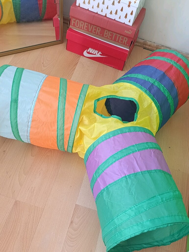 Kedi Tüneli - 5